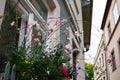 Pink gaura flowers decorate the window of the house in the form of decoration