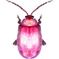 Colorful polygonal vector of a pink beetle. Symmetrical crystal illustration bug in geometry triangle style. Geometric beetle made
