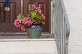 Pink geranium flowers in a decorative polished clay pottery pot in front of the entrance of a vintage house. Royalty Free Stock Photo