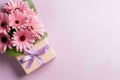 pink gerber and boxes pink gerber and gift box pink gerber flowers Royalty Free Stock Photo