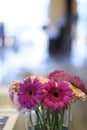 Pink Gerber flower bouquet on a glass pot on a interior scene Royalty Free Stock Photo