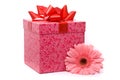 Pink gerber flower and gift box Royalty Free Stock Photo