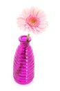 Pink Gerber in glass vases Royalty Free Stock Photo