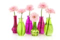 Pink Gerber in glass vases Royalty Free Stock Photo