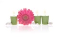 Pink Gerbera and Aromatic Candles