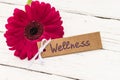 Gift tag present for Wellness with flower decoration on white wooden table Royalty Free Stock Photo