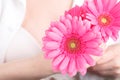 Pink gerbera in female hand, Gynecology concept Royalty Free Stock Photo