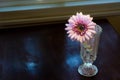 Pink gerbera flower on glass vase Royalty Free Stock Photo