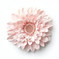 A pink gerbera flower, isolated on a transparent background Royalty Free Stock Photo
