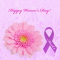 Pink gerbera flower and purple ribbon on pink background Royalty Free Stock Photo