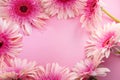 Pink gerbera flowers arranged as a frame on pink background. Top view Royalty Free Stock Photo