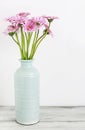 Pink gerbera flowers in blue ceramic vase, white background Royalty Free Stock Photo