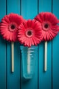 Pink gerbera flowers in glass vase on blue wooden background Royalty Free Stock Photo