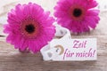 Pink Gerbera, Label, Zeit Fuer Mich Means Time For Me