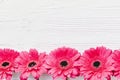 Pink gerbera on white wooden background, flat lay with space f Royalty Free Stock Photo