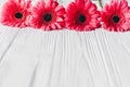 Pink gerbera on white wooden background, space for text. Floral Royalty Free Stock Photo