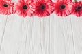 Pink gerbera on white wooden background, space for text. Floral Royalty Free Stock Photo