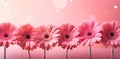 pink gerberas in the background with bokeh