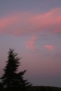 Pink giant sunset clouds