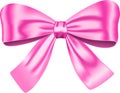 Pink gift bow Royalty Free Stock Photo