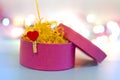 Pink gift box with heart shaped clothespeg