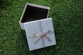 Pink gift box, open lid and green artificial grass.