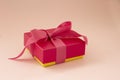 Pink gift with pink ribbon. Gift love concept