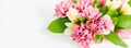 Pink ginger flowers on a bouquet on a white background. Generative AI