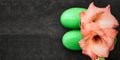 Ink gladiolus flower in green children boots, top view, copy space, gardening concept