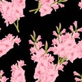Pink gladiolus flower seamless pattern