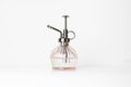 pink glass Houseplant pulverizer on white background