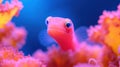 A Pink Goby Fish in Coral Reef Royalty Free Stock Photo