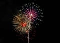 Pink and Gold Fireworks over Alexandria, Va 2018 Royalty Free Stock Photo