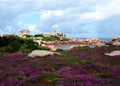 Beautiful field of wild flowers with the Phare de Ploumanac`h officially the Mean Ruz Lighthouse at the background