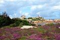 Beautiful field of wild flowers with the Phare de Ploumanac`h officially the Mean Ruz Lighthouse at the background