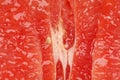 Pink grapefruit abstract Royalty Free Stock Photo