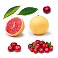 Pink grapefruit with cranberry Royalty Free Stock Photo