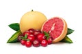 Pink grapefruit with cranberry Royalty Free Stock Photo