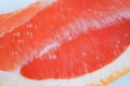 Pink grapefruit flesh and skin Royalty Free Stock Photo