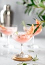 Pink grapefruit gin gimlet cocktail ready to drink Royalty Free Stock Photo