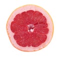 Pink Grapefruit Half