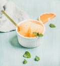 Pink grapefruit homemade sorbet with fresh mint leaves Royalty Free Stock Photo