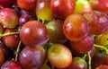 Pink grapes a macro photo. textura or background Royalty Free Stock Photo