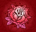 Pink graphic realistic detailed vector rose