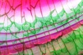 Pink Green Dragon Vein Agate Pattern Royalty Free Stock Photo