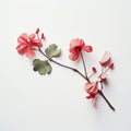 Pink And Green Flowers: Japanese Minimalism With A Touch Of Renaissance