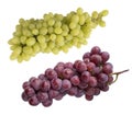 Pink and green grapes isolated on white background. Top view. Bunch of pink grape and green grapes Kishmish isolated on white back