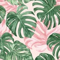 Pink and Green Leaves Converge in a Vibrant Pattern Against a Serene White Background