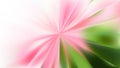 Pink and Green Radial Sunburst Background Image