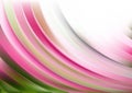 Pink Green and White Abstract Shiny Curved Stripes Background Vector Image Royalty Free Stock Photo